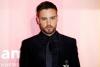 Liam Payne (1993 - 2024)